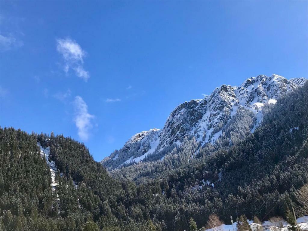 Alpinappartements Stoeckl Partenen Bagian luar foto